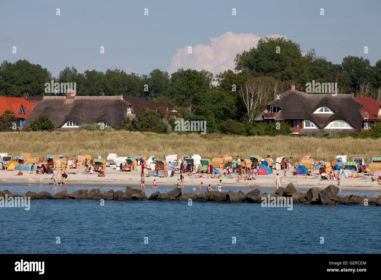 Spiaggia, mare Baltico località di Wustrow, Fischland, Meclemburgo-Pomerania Occidentale Foto Stock