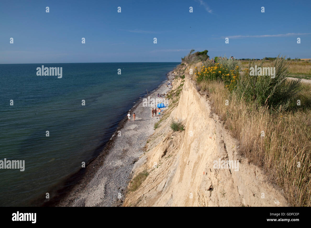 Ripida costa, Mar Baltico località di Ahrenshoop, Fischland, Meclemburgo-Pomerania Occidentale Foto Stock