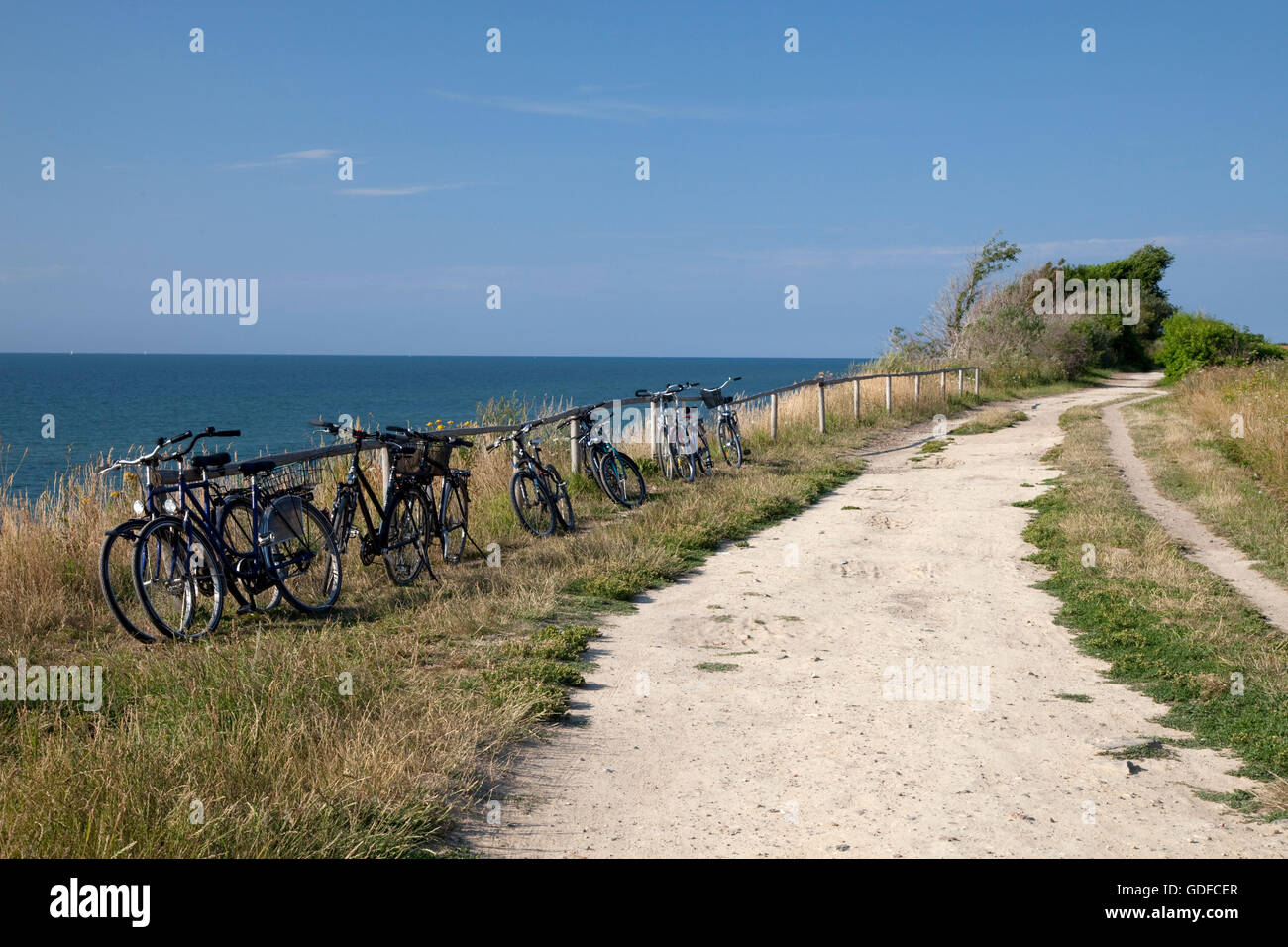 Percorso sopra la ripida costa, Mar Baltico località di Ahrenshoop, Fischland, Meclemburgo-Pomerania Occidentale Foto Stock
