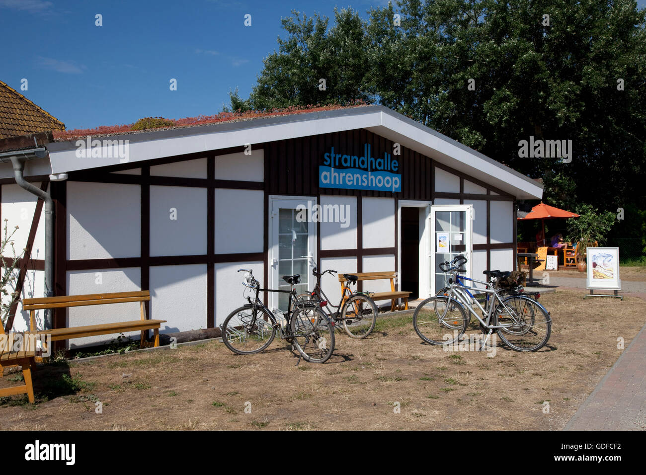 Spiaggia Hall, Mar Baltico località di Ahrenshoop, Fischland, Meclemburgo-Pomerania Occidentale Foto Stock