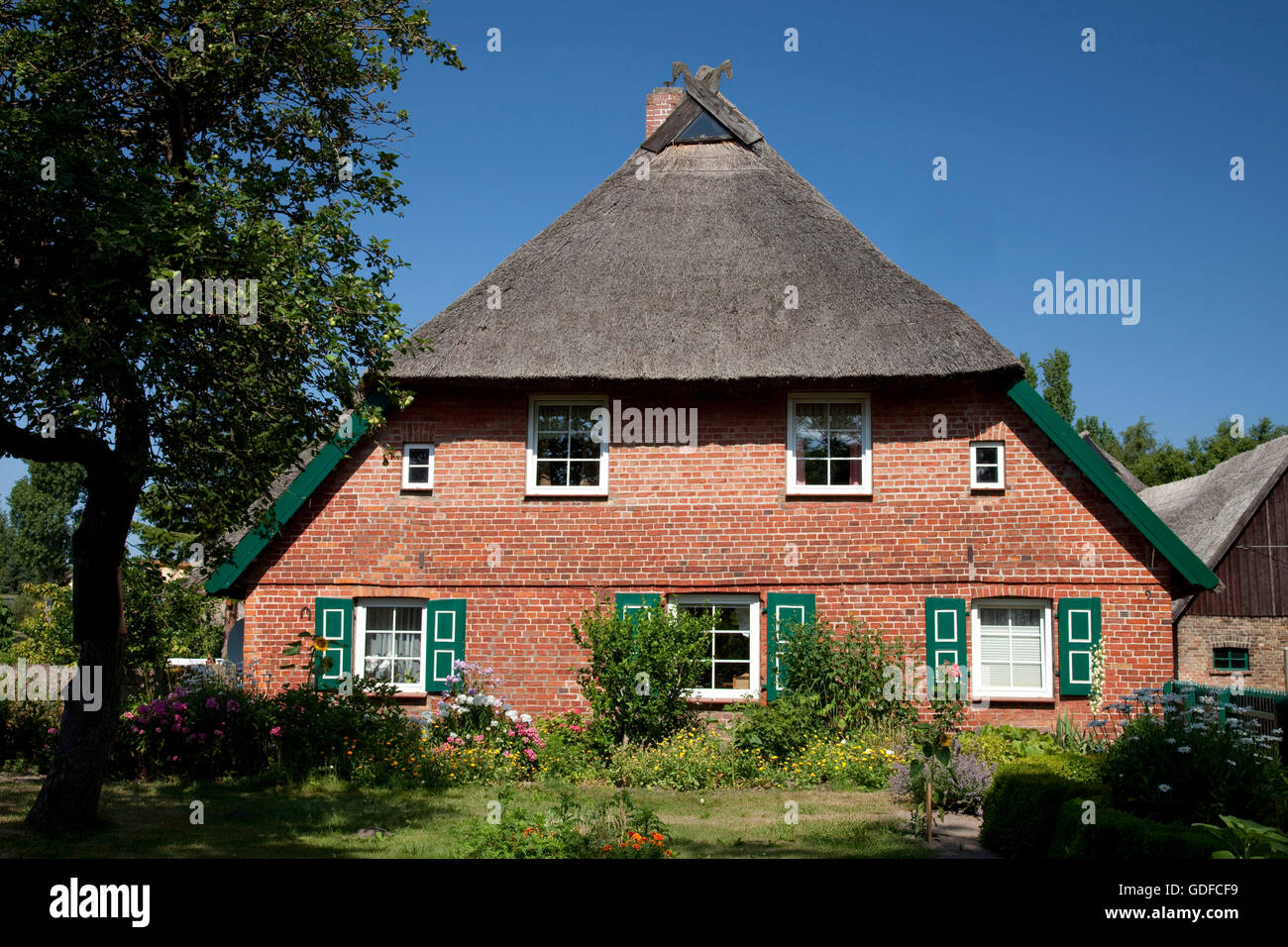 Casa colonica con il tetto di paglia, Mar Baltico località di Ahrenshoop, Fischland, Meclemburgo-Pomerania Occidentale Foto Stock