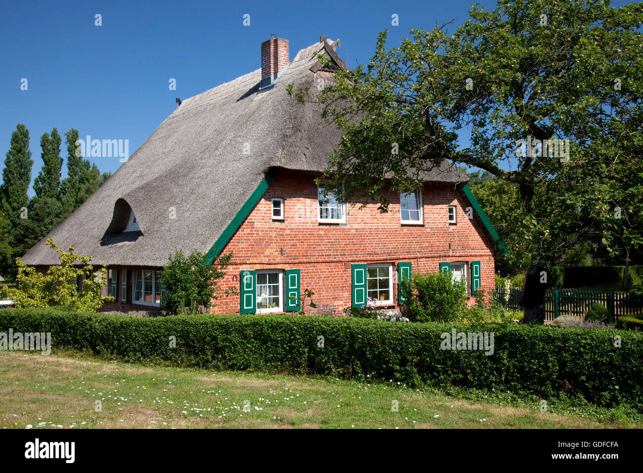 Casa colonica con il tetto di paglia, Mar Baltico località di Ahrenshoop, Fischland, Meclemburgo-Pomerania Occidentale Foto Stock