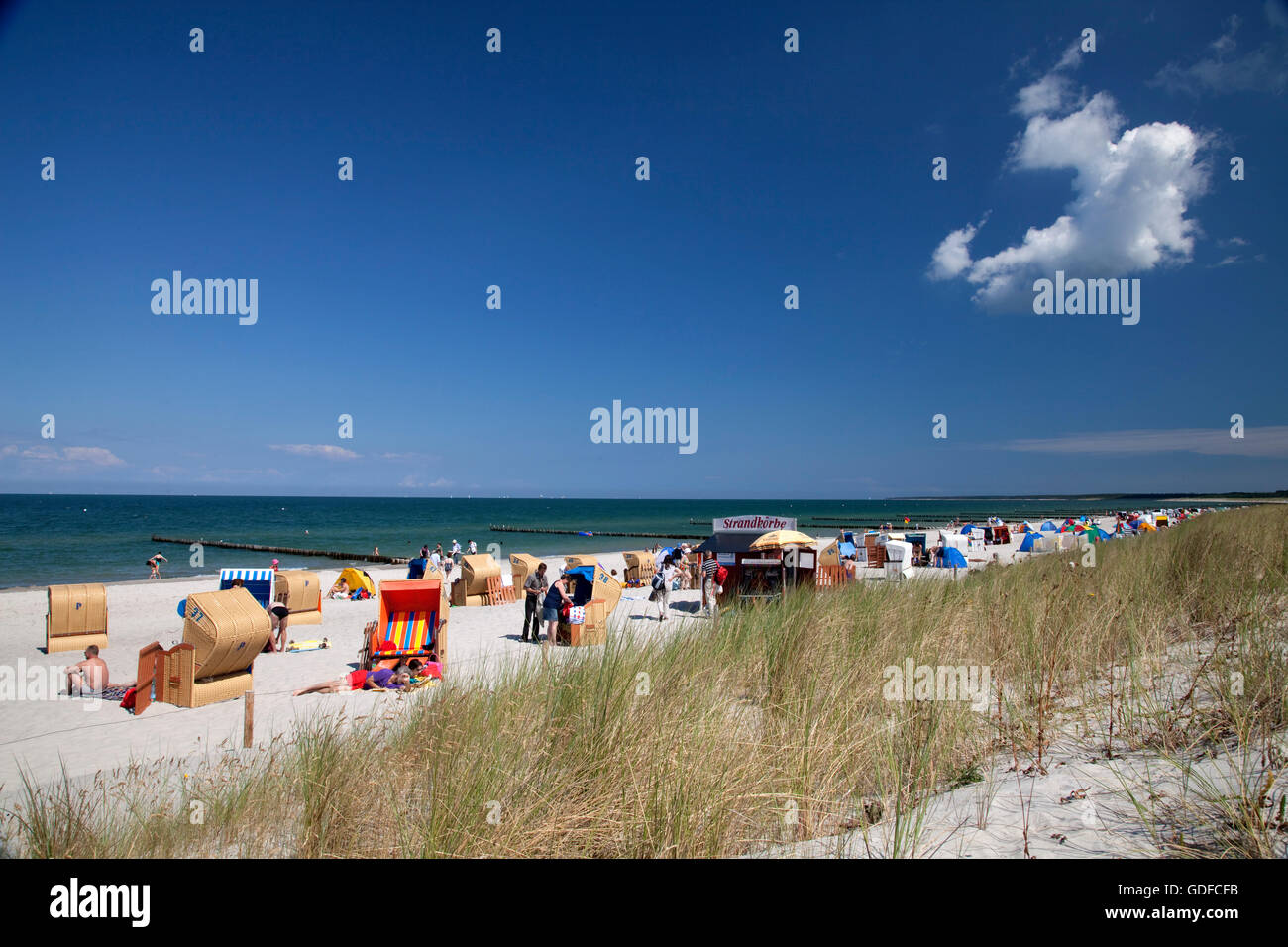 Spiaggia, mare Baltico località di Ahrenshoop, Fischland, Meclemburgo-Pomerania Occidentale Foto Stock