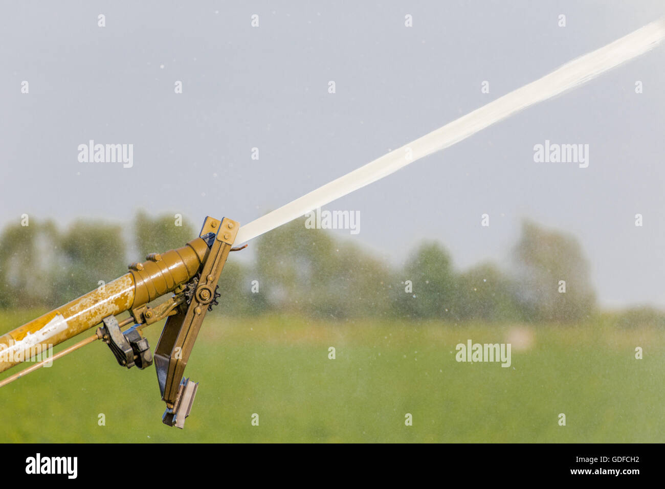Dettagli di sprinkler irrigazione dei campi Foto Stock