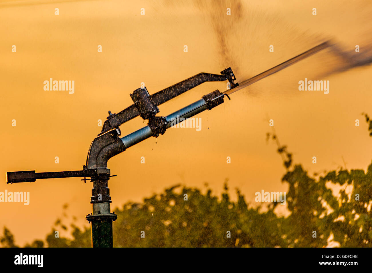 Tramonto su impianti sprinkler irrigazione dei campi Foto Stock