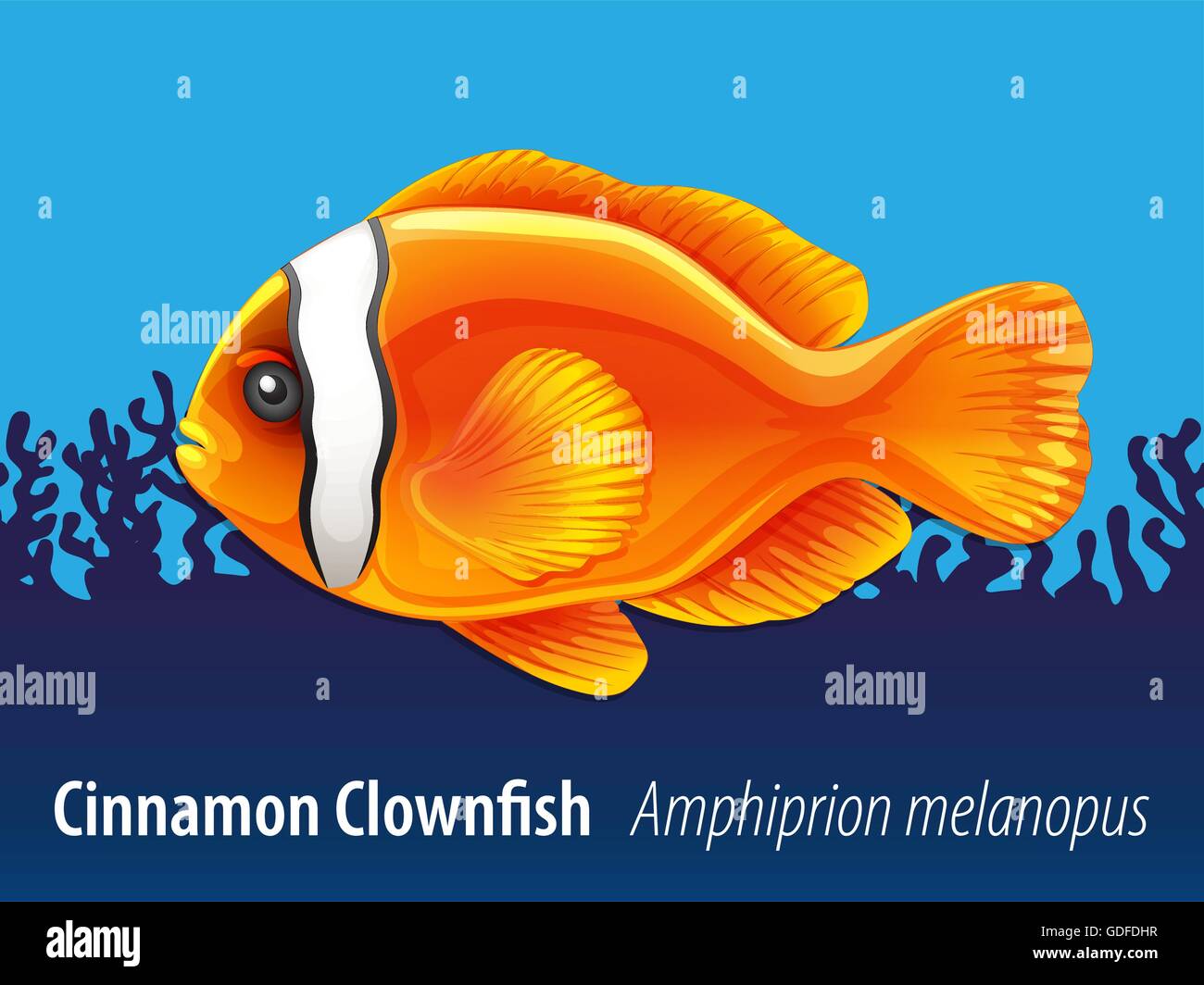 Cinnamon clownfish nuotare sotto il mare illustrazione Illustrazione Vettoriale