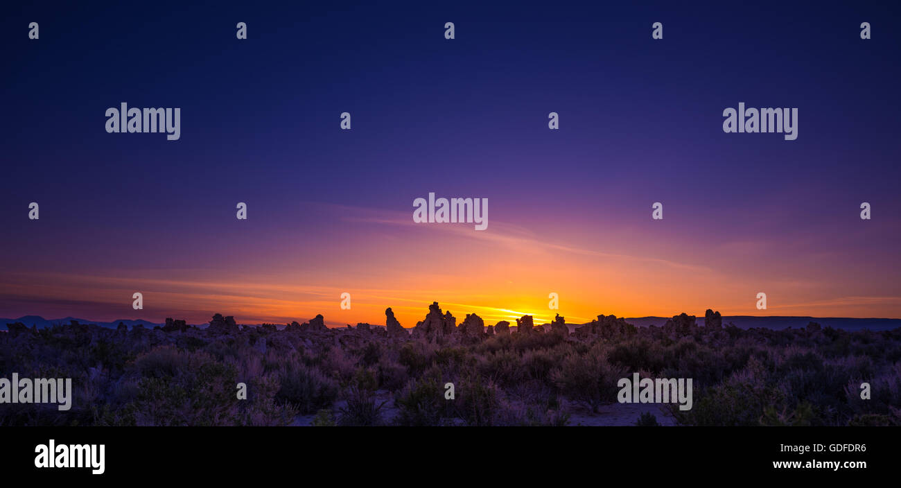 Sentiero mono immagini e fotografie stock ad alta risoluzione - Alamy