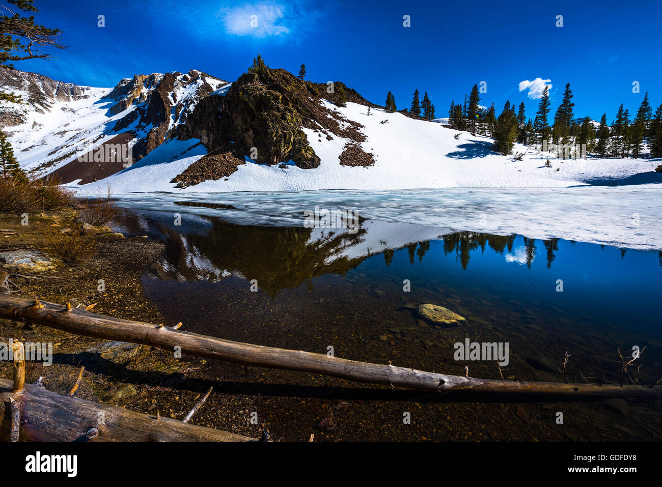 Soleggiata giornata invernale malteria Snow Ellery lago vicino Tioga Pass Yosemite in California USA Foto Stock