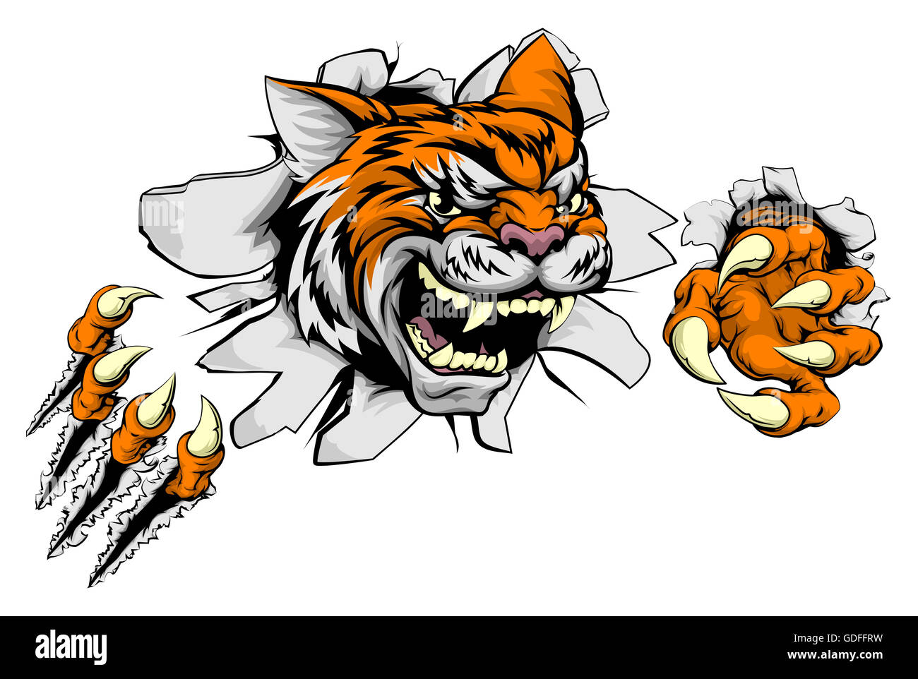 In media una tigre animale mascotte sportive rip attraverso lo sfondo con i suoi artigli Foto Stock