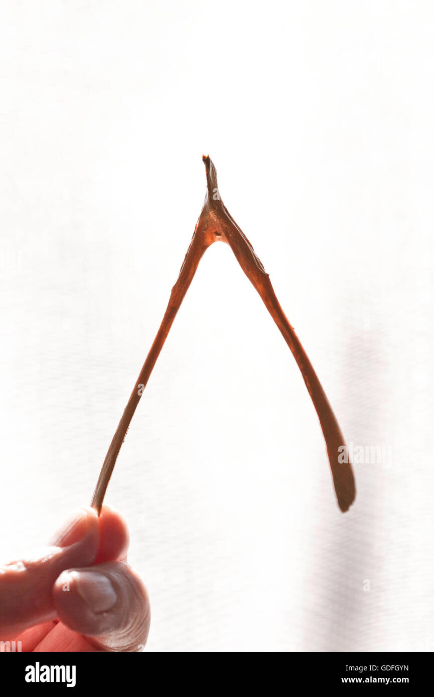 Lato del triangolo di contenimento Foto Stock