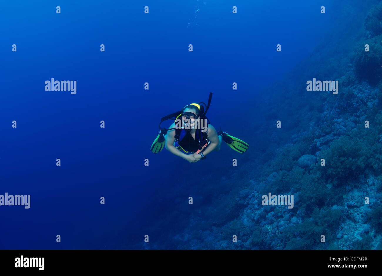 Voce maschile subacqueo con una barriera corallina, Mar Rosso, Egitto, Africa Foto Stock