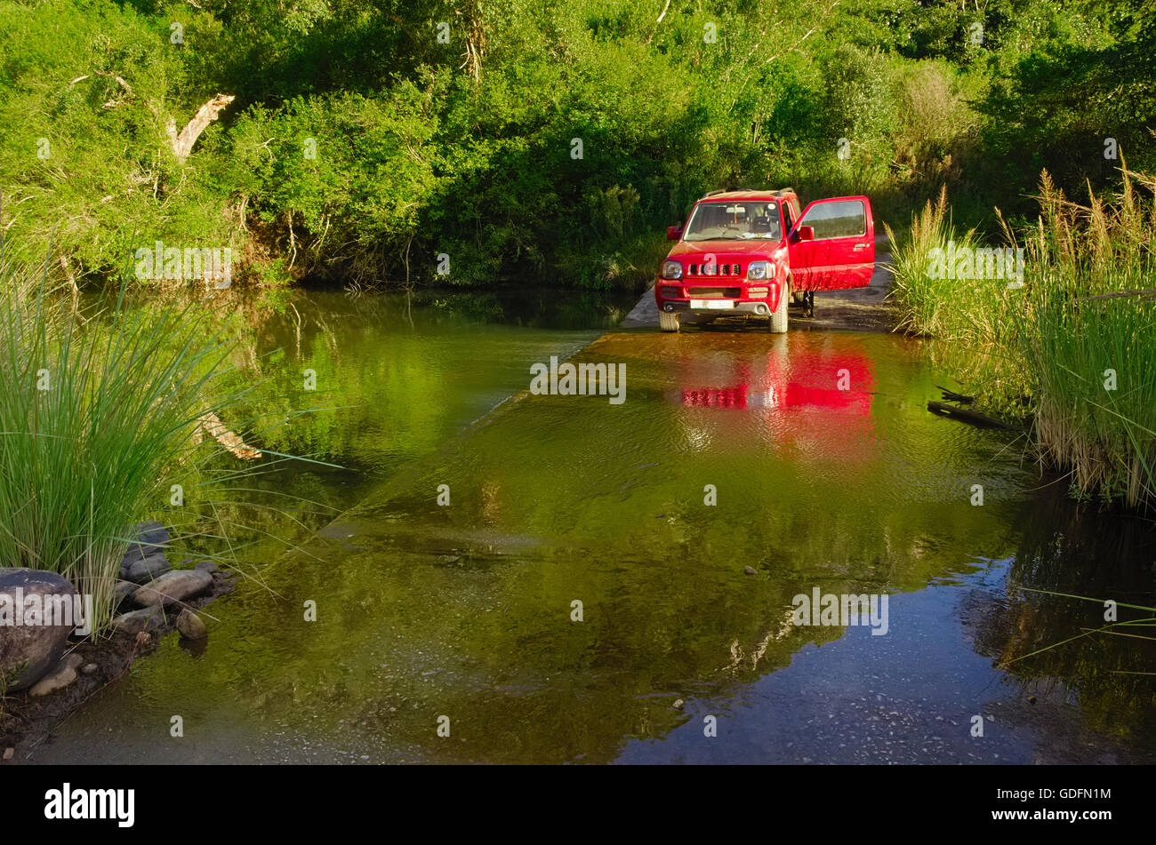 Red 4x4, quattro a quattro auto Varcando il fiume su calcestruzzo grembiule nel bosco selvatico Foto Stock