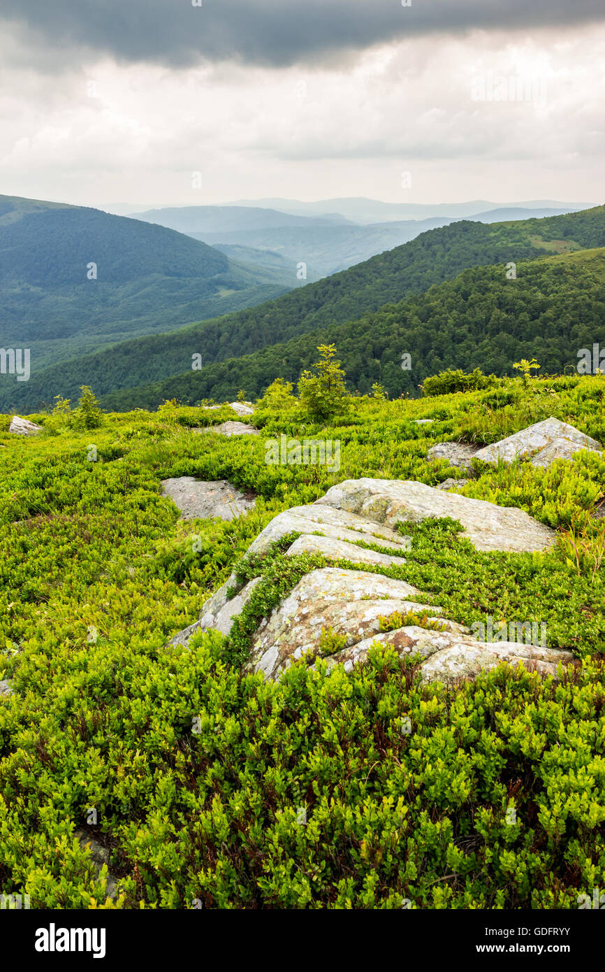 Pochi alberi e pietre sul bordo del lato della collina in erba sulla parte superiore di alta gamma della montagna Foto Stock