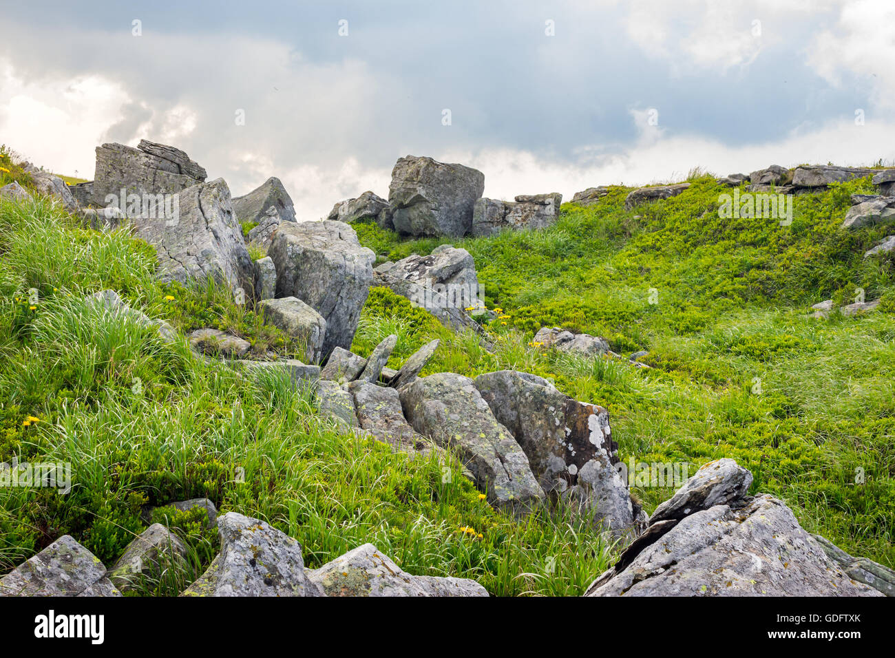 Bianco massi appuntiti sul prato erboso con alcuni denti di leoni sul bordo di alta gamma della montagna Foto Stock