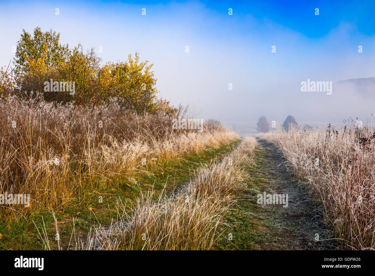 Strada attraverso la collina con erba congelati prato in montagna nella nebbia mattutina di sunrise Foto Stock