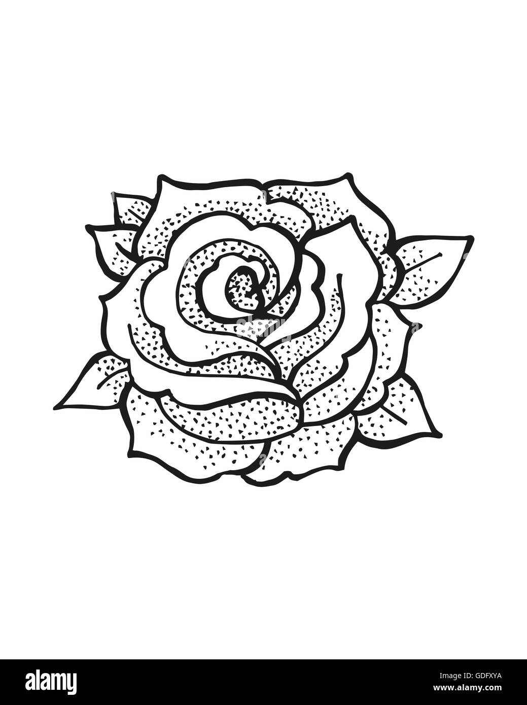 Disegnato a mano o illustrazione di disegno di un fiore rosa Foto Stock