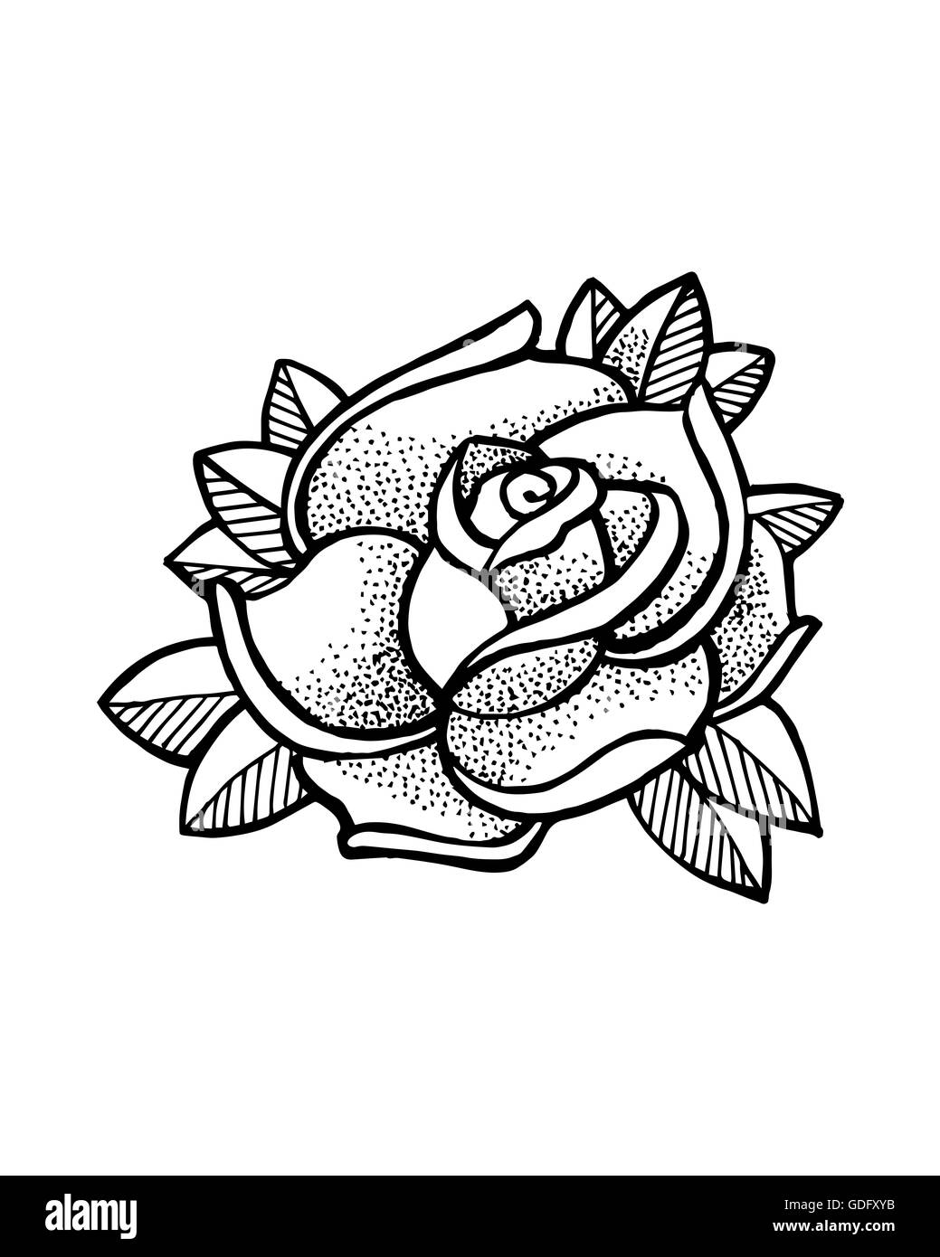 Disegnato a mano o illustrazione di disegno di un fiore rosa Foto Stock