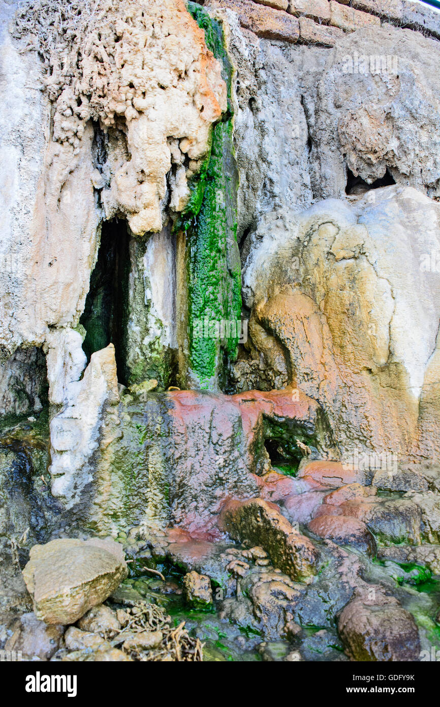 Le Alghe verdi sul muro che sono stati creati a causa di perdite di acqua. Foto Stock