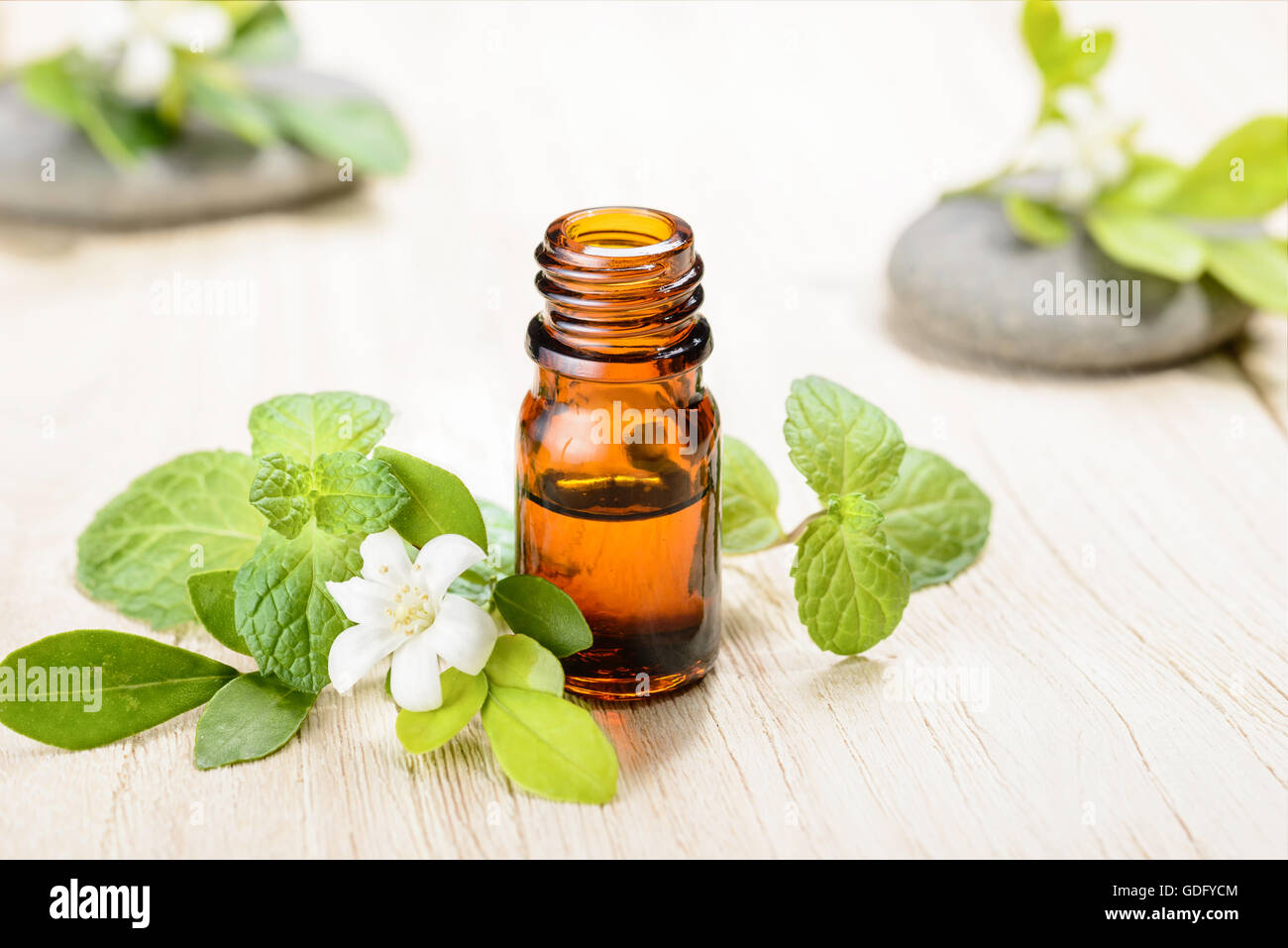 Menta fresca Olio essenziale sulla tavola di legno Foto Stock