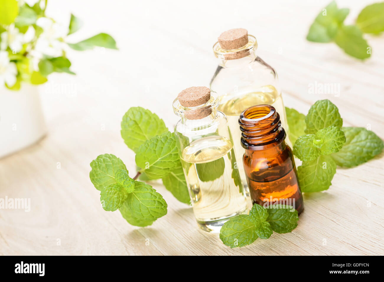 Menta fresca Olio essenziale sulla tavola di legno Foto Stock
