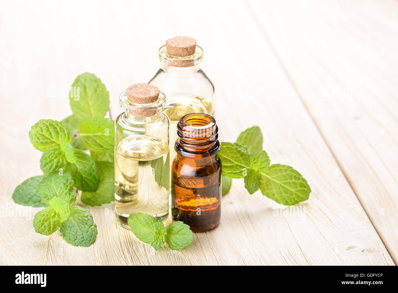 Menta fresca Olio essenziale sulla tavola di legno Foto Stock