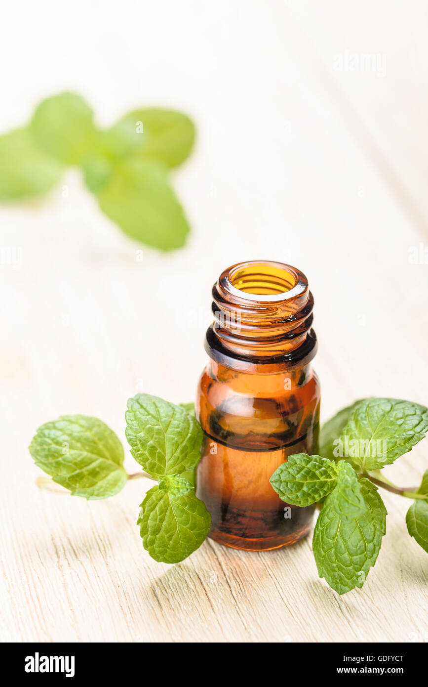 Menta fresca Olio essenziale sulla tavola di legno Foto Stock