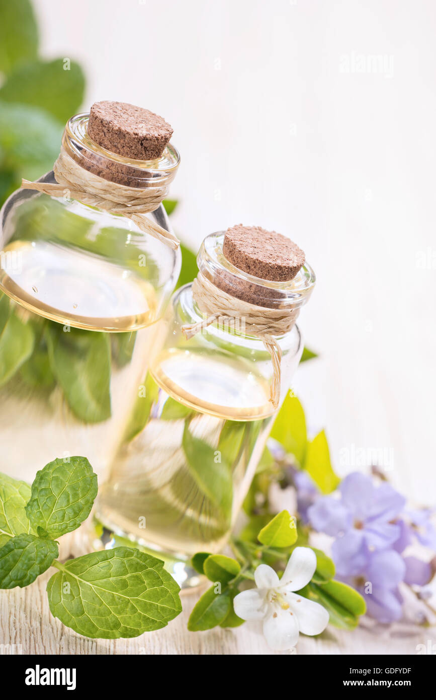 Fresche olio essenziale di menta e fiori Foto Stock