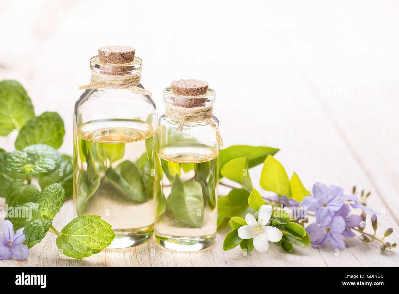 Fresche olio essenziale di menta e fiori Foto Stock