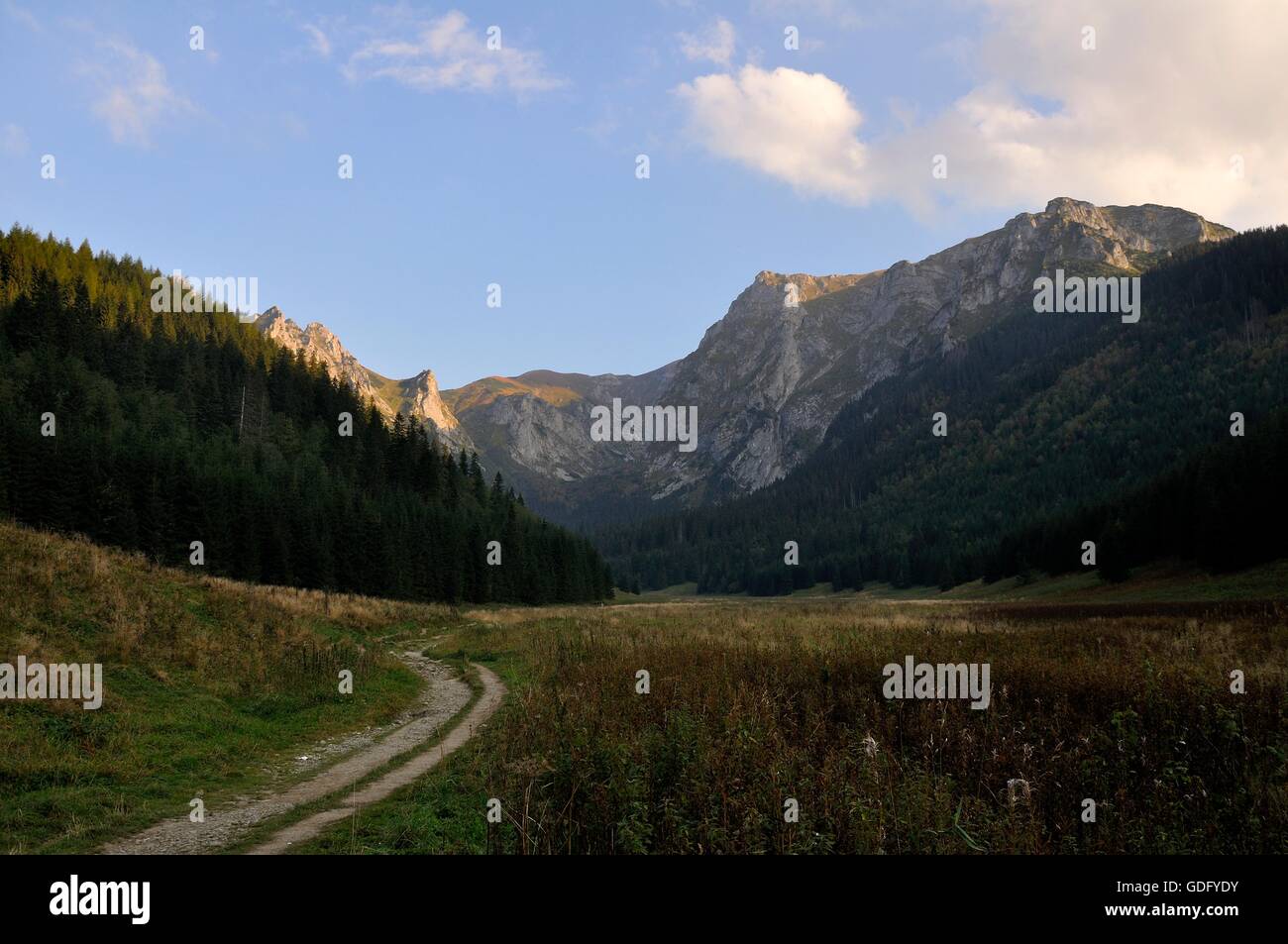 Nella valle di Tatra National Park, Polonia Foto Stock