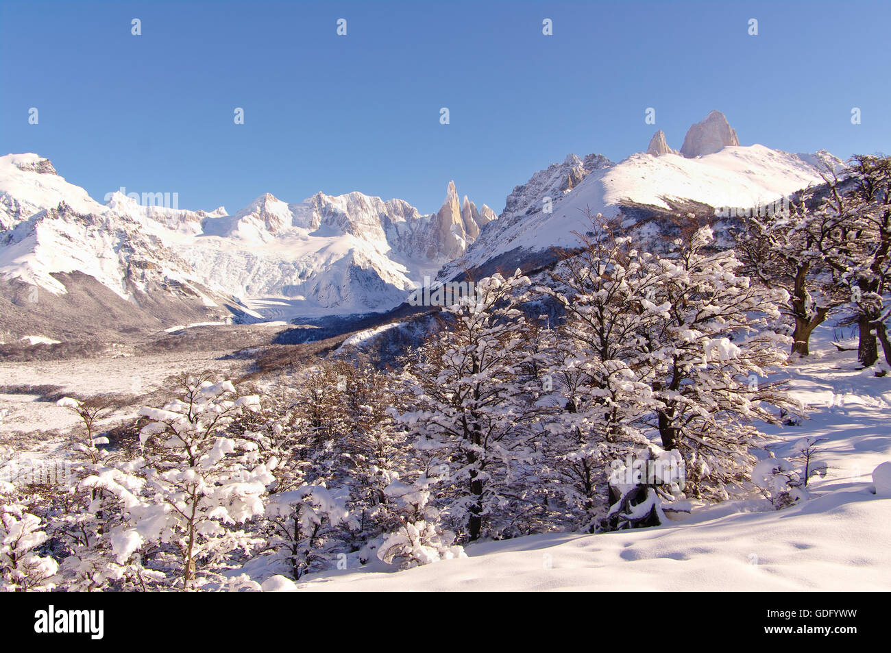 Fitz Roy e Cerro Torre Foto Stock