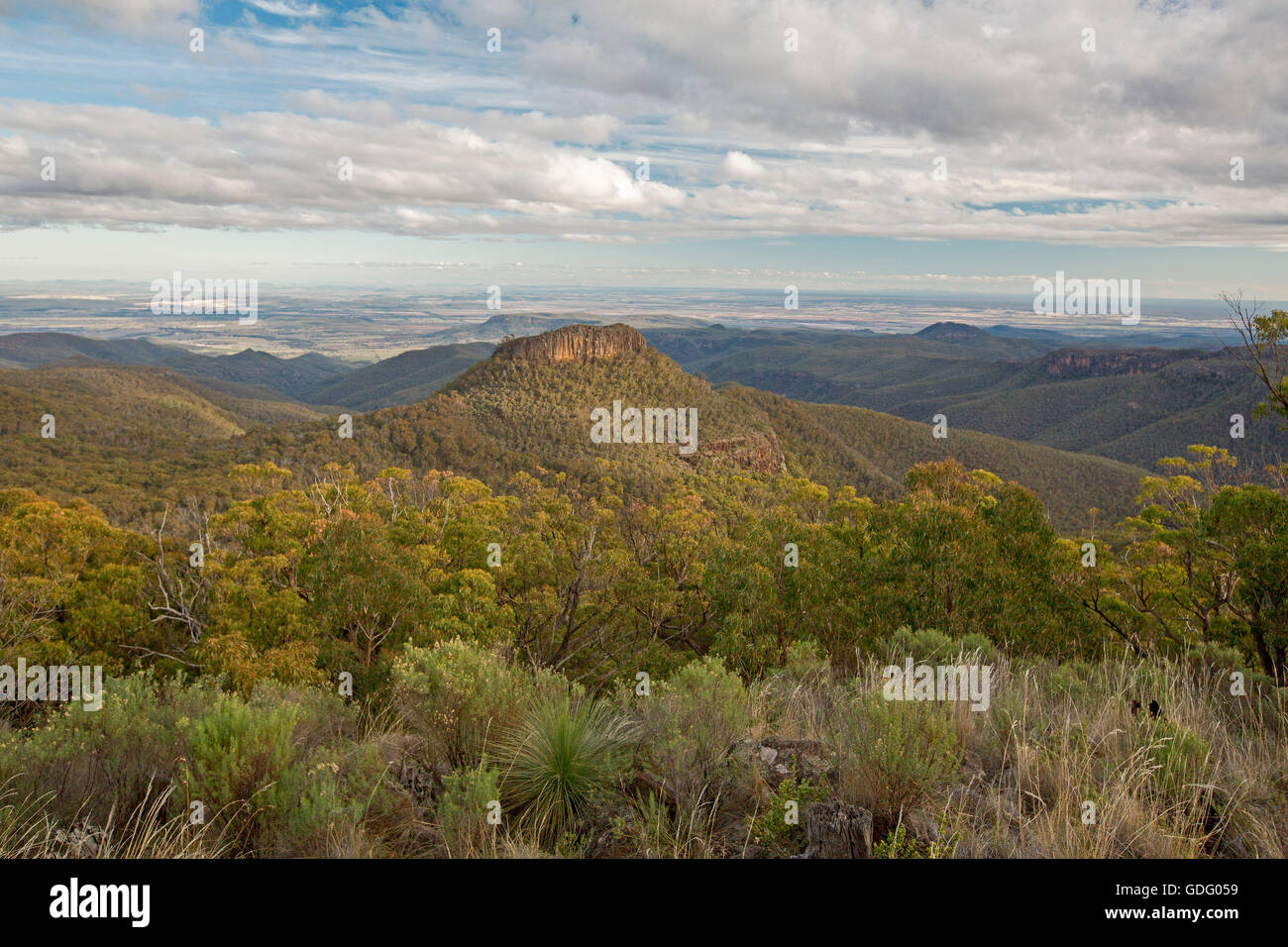 Splendida vista dall alto belvedere di vasto paesaggio di foresta delle gamme e delle cime frastagliate a Mount Kaputar National Park, Australia Foto Stock