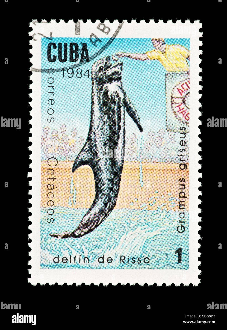 Francobollo da Cuba raffigurante un Risso (Dolphin Grampus griseus) Foto Stock