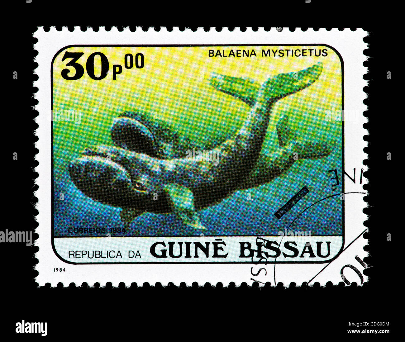 Francobollo dalla Guinea Bissau raffigurante un bowhead whale (Balaena mysticetus) Foto Stock