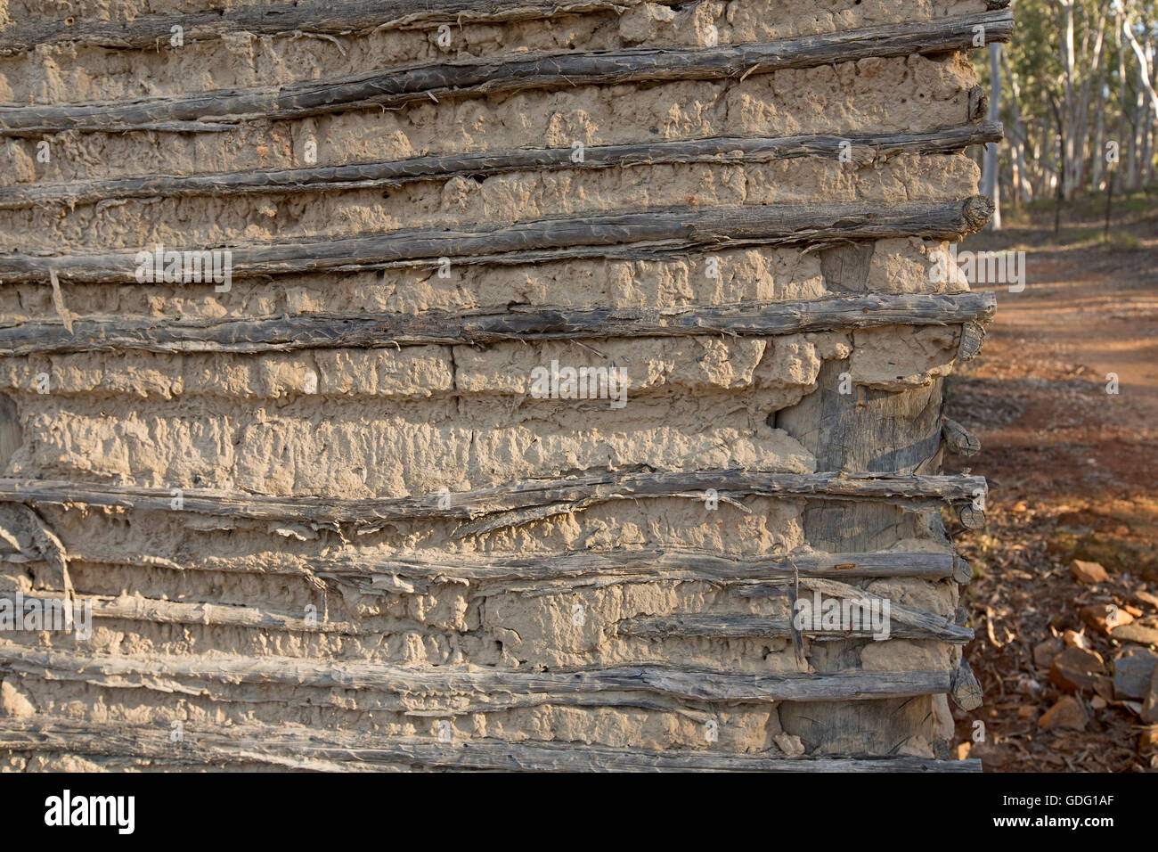 La sezione di parete di edificio realizzato con graticcio & daub che mostra un semplice e poco costoso metodo di costruzione con materiali naturali Foto Stock