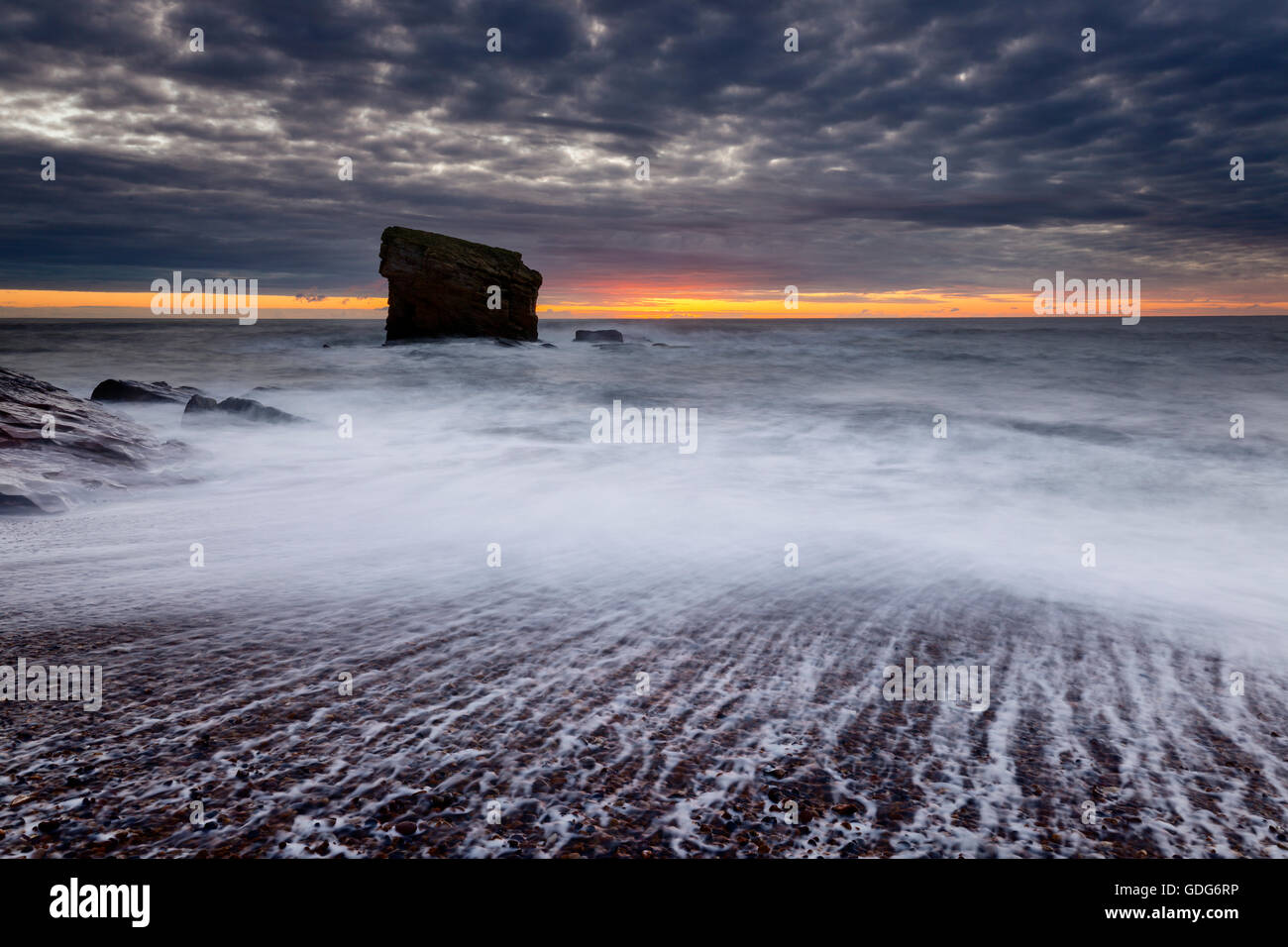 Alba a Charlie's Garden, Seaton Sluice, Collywell Bay Foto Stock