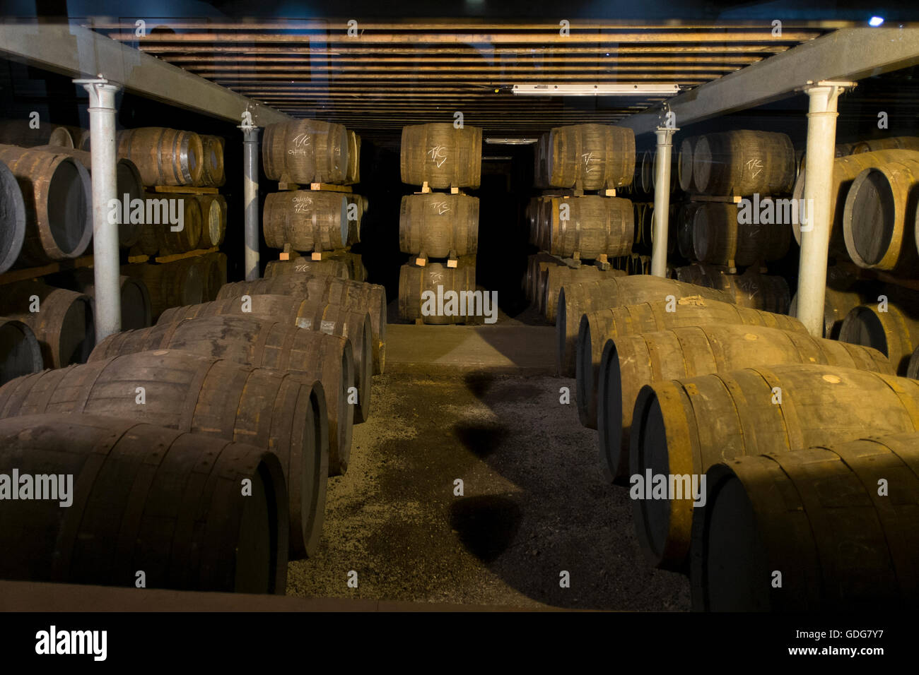 Bottiglie di whisky e botti in una distilleria in Scozia, near Inverness.10/07/2016 Foto Stock