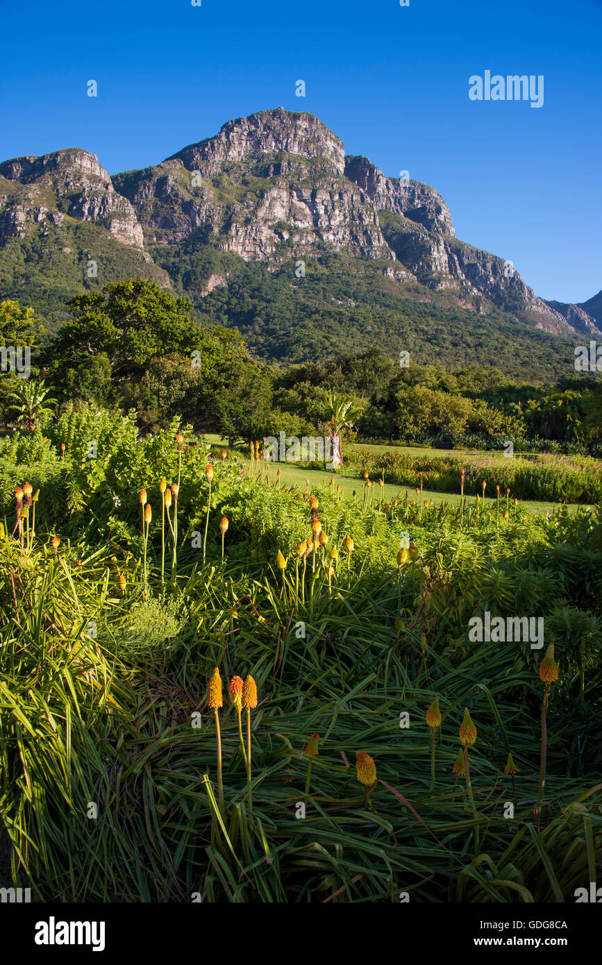 Vista da Kirstenbosch, Cape Town, Sud Africa Foto Stock