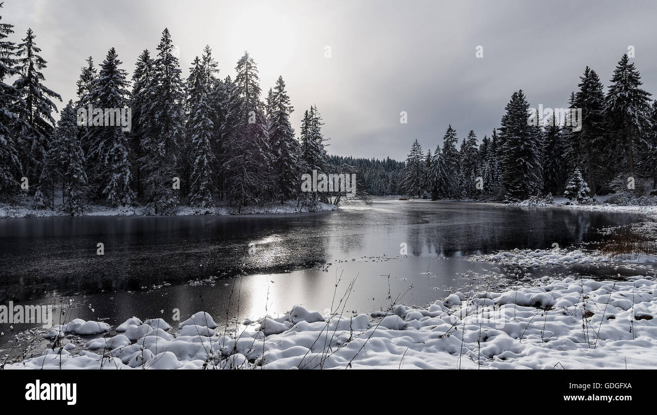 Prima neve,Etang de la Gruere Foto Stock