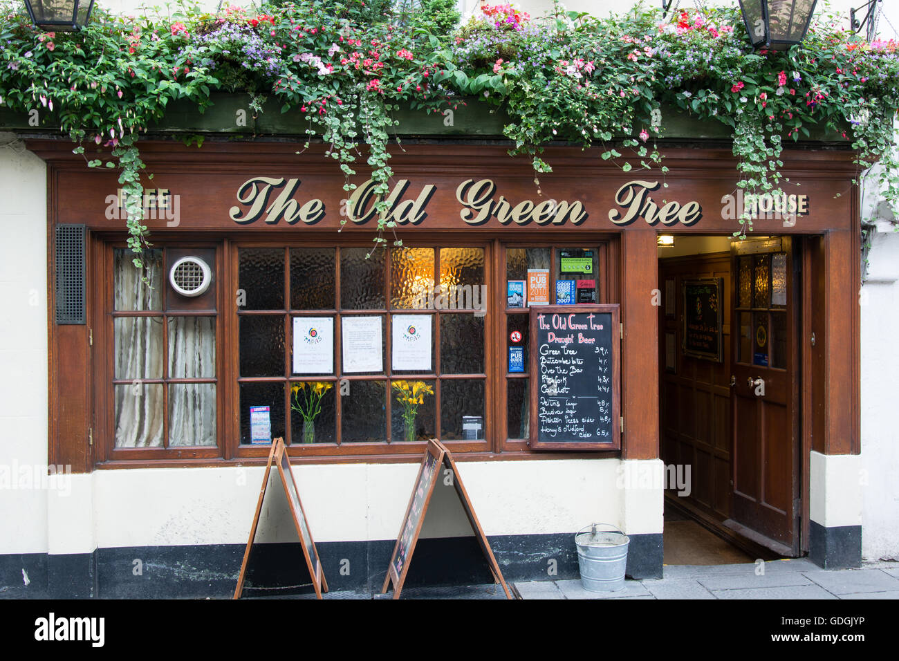 Il vecchio albero verde Public House. Pub su Verde Steet nel Patrimonio Mondiale UNESCO Città di Bath, nel Somerset, Inghilterra Foto Stock