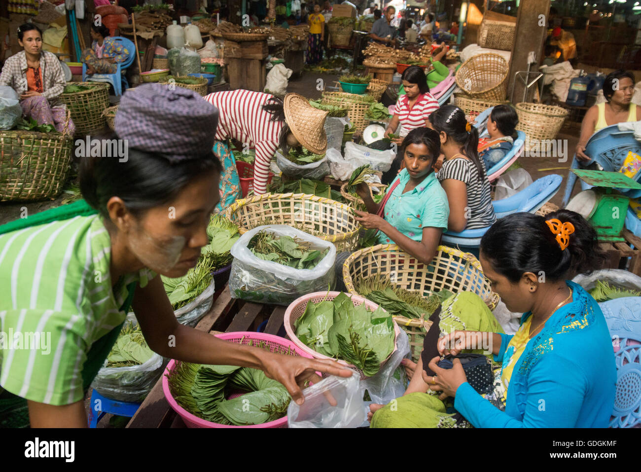 Betel dado in un mercato vicino la città di Yangon in Myanmar in Southeastasia. Foto Stock