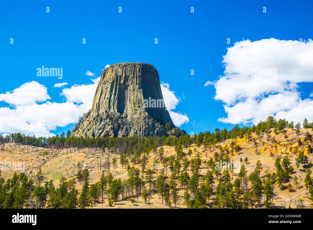 Devils Tower Crook County Wyoming USA Foto Stock