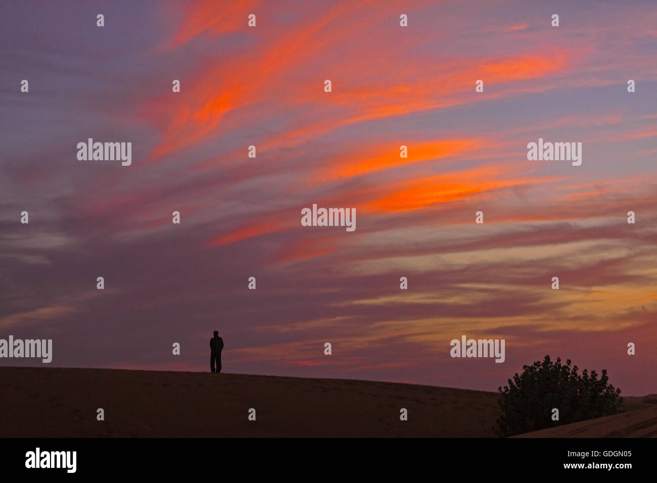 Il tramonto del deserto di Thar, India. Foto Stock