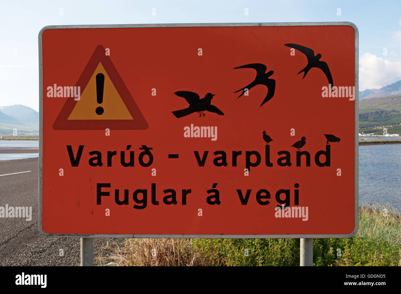 Islanda: segno di avvertimento per la migrazione degli uccelli nel fiordo di Akureyri, situato in corrispondenza della testa di un fiordo lungo ricco di fauna Foto Stock