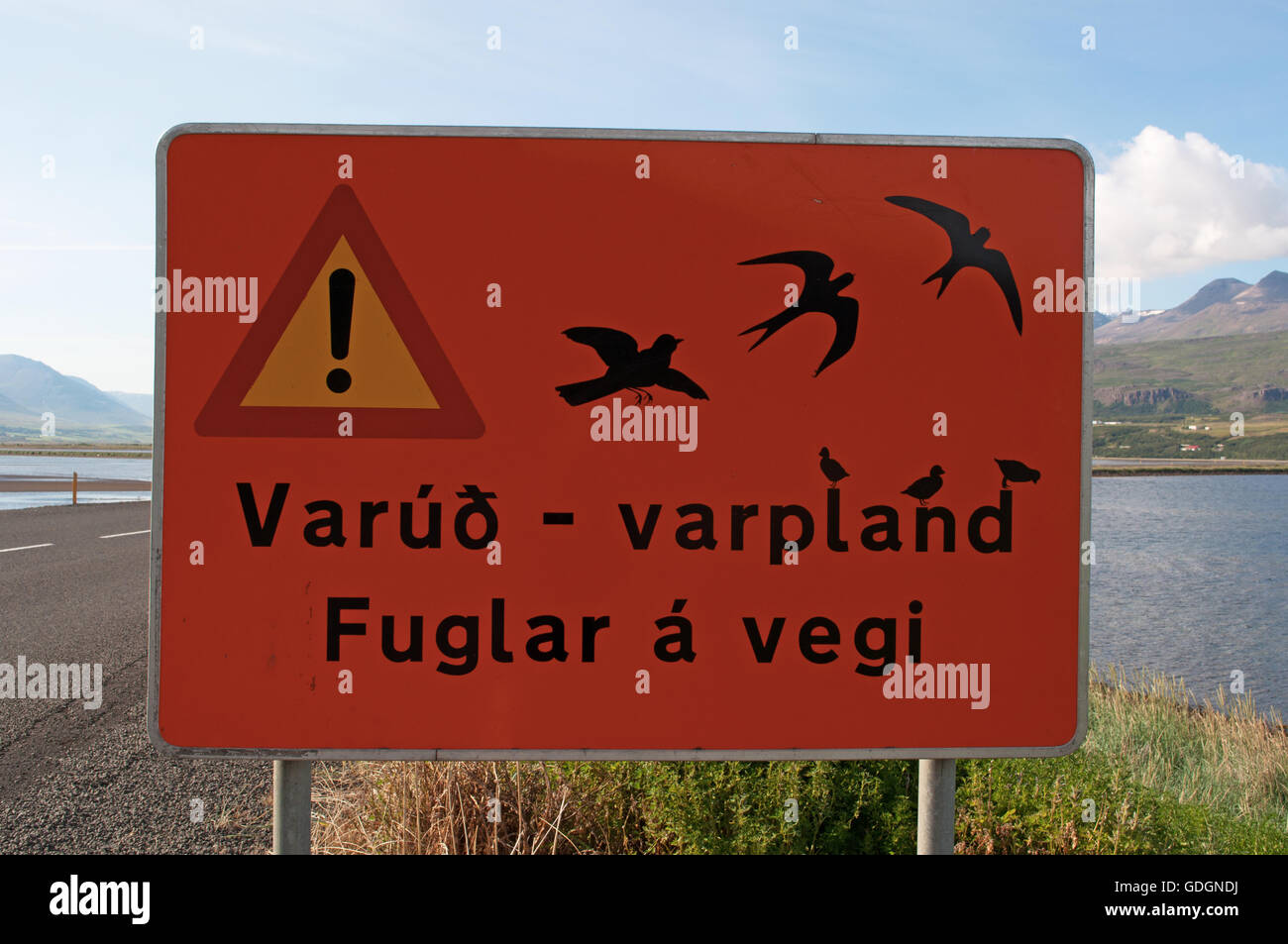 Islanda: segno di avvertimento per la migrazione degli uccelli nel fiordo di Akureyri, situato in corrispondenza della testa di un fiordo lungo ricco di fauna Foto Stock