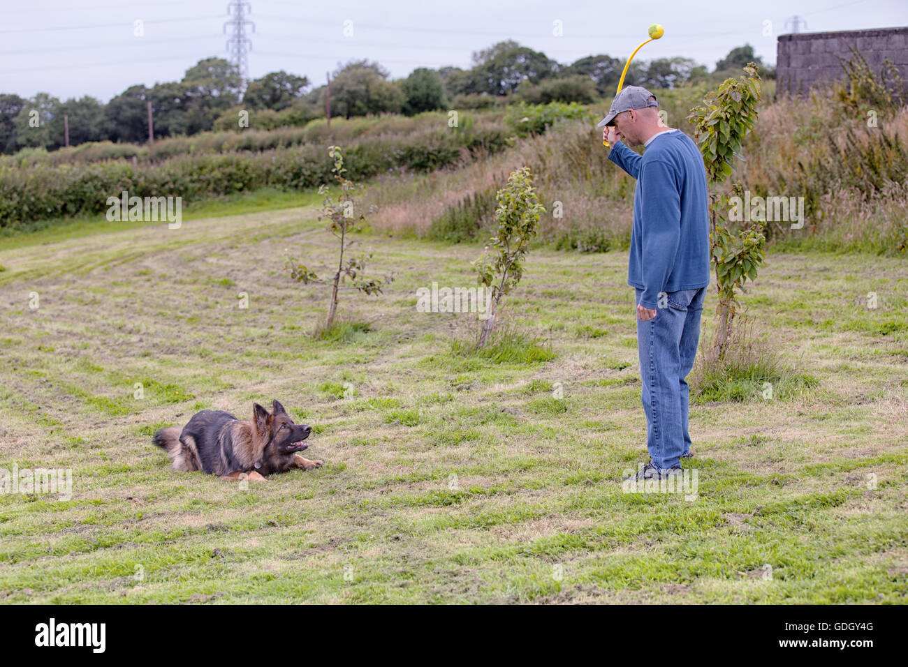 L'uomo facendo positivo di addestramento del cane con un pastore tedesco cane usando un giocattolo per una ricompensa. Foto Stock