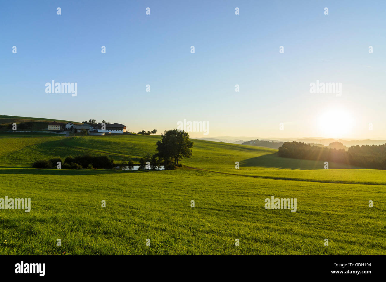 Atzesberg: Agriturismo Agriturismi agriturismo nella luce del mattino, Austria, Oberösterreich, Austria superiore, Mühlviertel Foto Stock