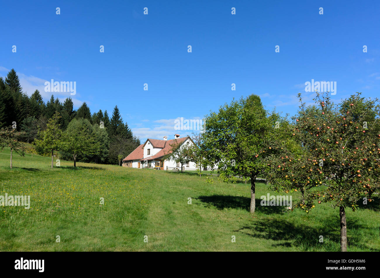 Bad Großpertholz: casa con orto nel Parco Naturale Nordwald, Austria, Niederösterreich, Bassa Austria, Waldviertel Foto Stock