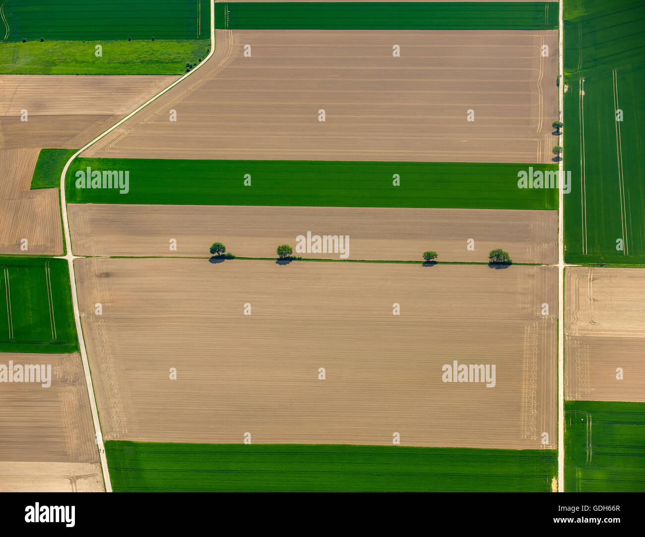 Vista aerea, campi cornfields, Neuss, Basso Reno, Nord Reno-Westfalia, Germania Foto Stock