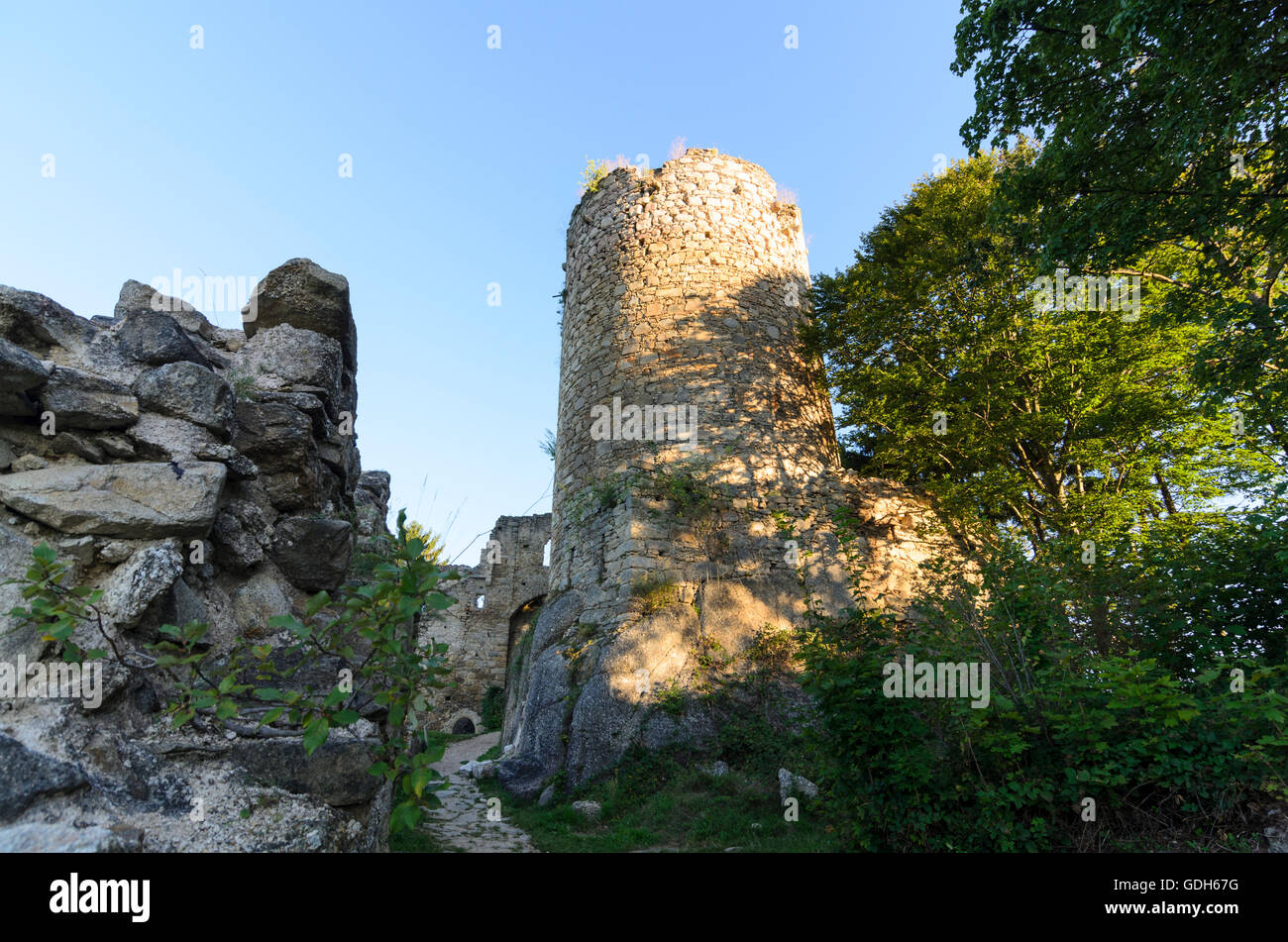 Schönau im Mühlkreis: Prandegg Castello, mantenere, Austria, Oberösterreich, Austria superiore, Mühlviertel Foto Stock