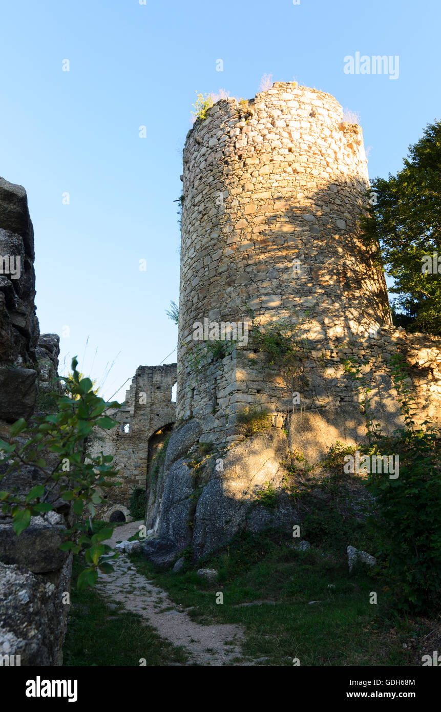 Schönau im Mühlkreis: Prandegg Castello, mantenere, Austria, Oberösterreich, Austria superiore, Mühlviertel Foto Stock